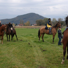 DSC03021_JPG-1287921824