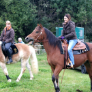 DSC03030_JPG-1287921862