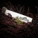 23102010frontalcrashsaaktivnews025.jpg