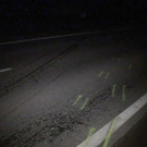 23102010frontalcrashsaaktivnews029.jpg