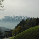 DSC_0481_JPG-1287945695