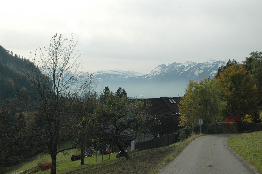 DSC_0477_JPG-1287945744