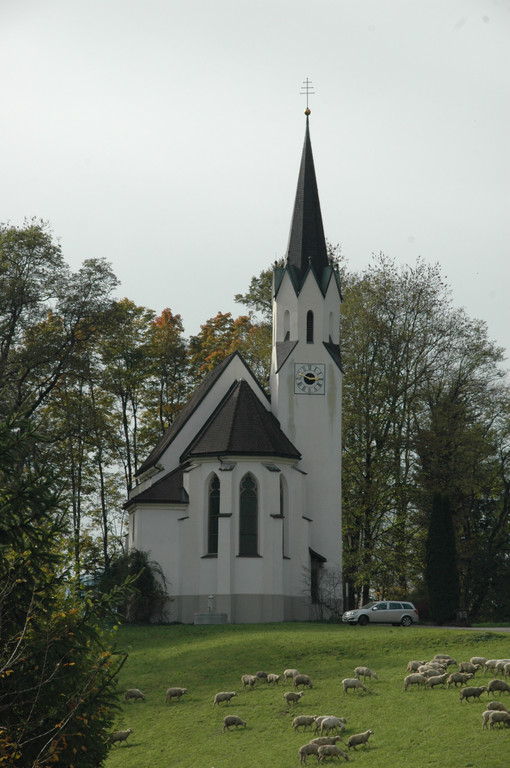 DSC_0472_JPG-1287945791