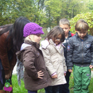 Oktober 3 006_jpg-1287993602