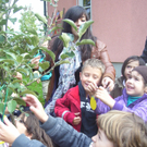 Oktober 3 021_jpg-1287994150