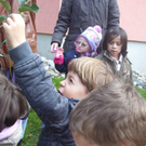 Oktober 3 023_jpg-1287994192