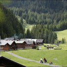 Impressionen von der Wanderung zum Hirschsee und der Panüelalpe