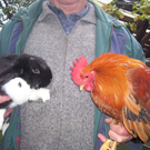 Hofsteigsaal im Zeichen der Tiere