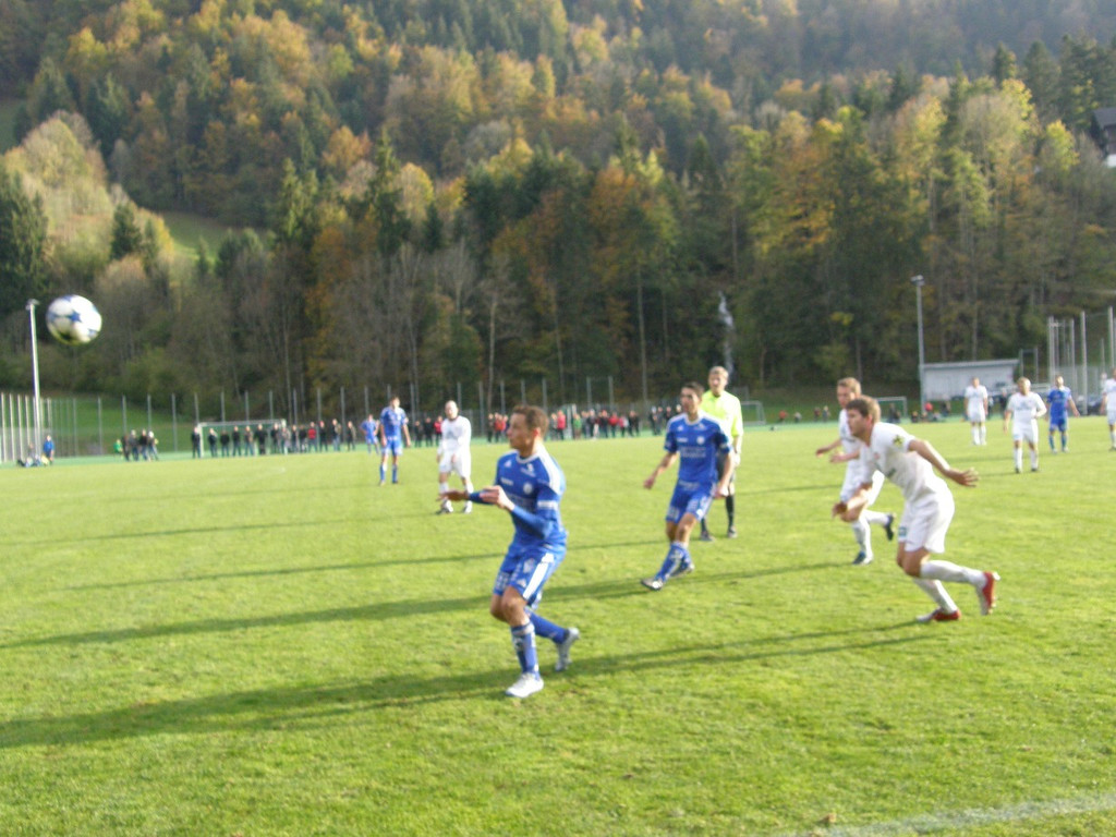 PA230082_JPG-1287998955