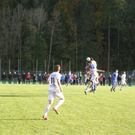 PA230089_JPG-1287999162
