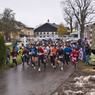 Gaisberglauf 2010_0106.jpg