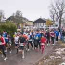 Gaisberglauf 2010_0107.jpg