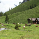 HK_Hirschsee _7_.jpg