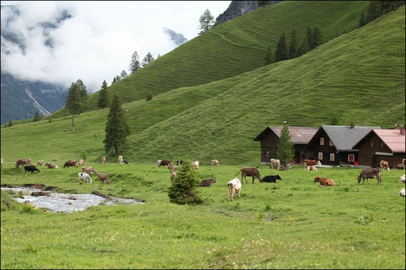 HK_Hirschsee _7_.jpg