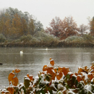 normal_25102010wintereinbruchsbgmwaktivnews_08.jpg