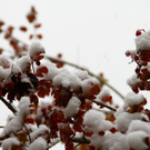 normal_25102010wintereinbruchsbgmwaktivnews_11.jpg