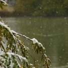 normal_25102010wintereinbruchsbgmwaktivnews_12.jpg