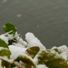 normal_25102010wintereinbruchsbgmwaktivnews_13.jpg