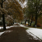 normal_25102010wintereinbruchsbgmwaktivnews_15.jpg