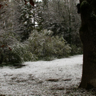 normal_25102010wintereinbruchsbgmwaktivnews_17.jpg