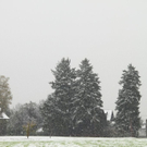 normal_25102010wintereinbruchsbgmwaktivnews_21.jpg