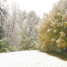 normal_25102010wintereinbruchsbgmwaktivnews_26.jpg