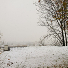 normal_25102010wintereinbruchsbgmwaktivnews_32.jpg