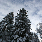 261010b99gmaktivnews006.JPG