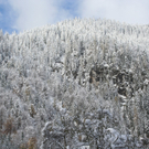 261010b99gmaktivnews007.JPG