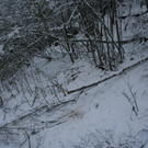 261010b99gmaktivnews008.JPG