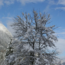 261010b99gmaktivnews011.JPG