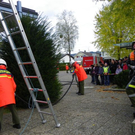 Bild 719_jpg-1288094716