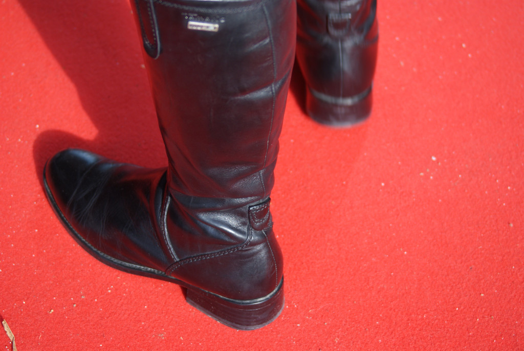 DSC09568_JPG-1288095520