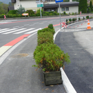 Bild 1137_jpg-1288097242