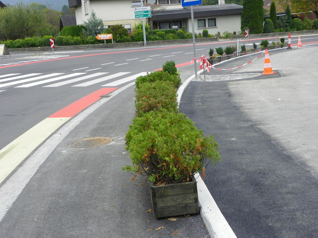 Bild 1137_jpg-1288097242