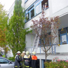 Bild 806_jpg-1288112538