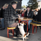 Markttag Fu__ach 119_jpg-1288120178