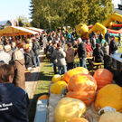 Markttag Fu__ach 235_jpg-1288120493