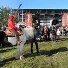 Markttag Fu__ach 242_jpg-1288120535