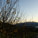 DSC06330.JPG