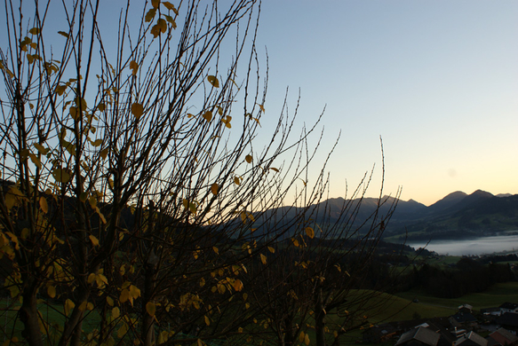 DSC06330.JPG