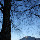 DSC06331.JPG