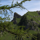 HK_Hirschsee _32_.jpg