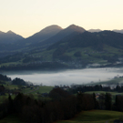 DSC06333.JPG