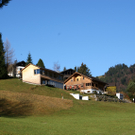 DSC06350.JPG