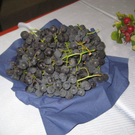 IMG_0779_jpg-1288162291
