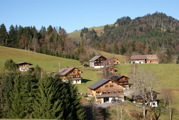 DSC06358.JPG