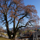 DSC06364.JPG