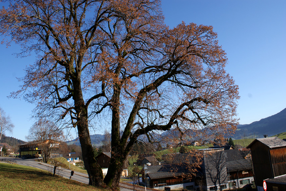 DSC06364.JPG