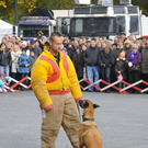 _DSC9490.JPG
